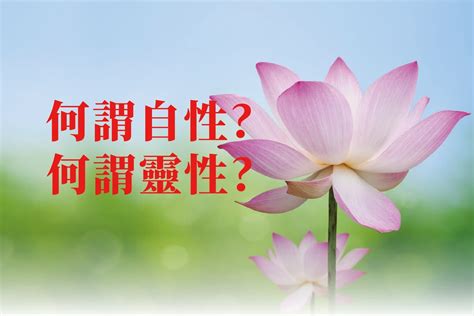 何謂靈|什麼是自性？什麼是靈性？